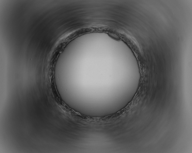 X0000088180920200705150936