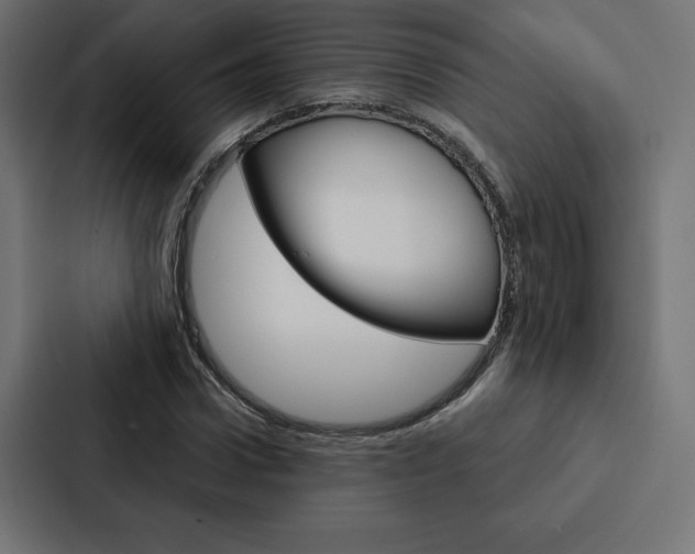X0000088180922200705150936
