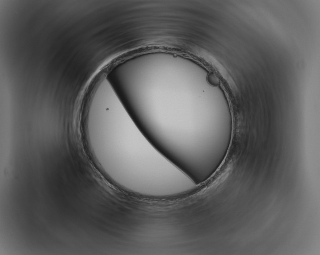 X0000088180923200705150936