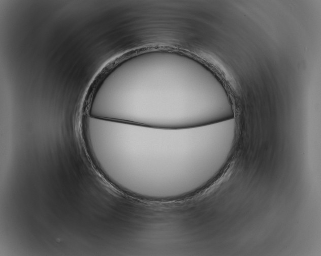 X0000088180924200705150936