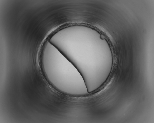 X0000088180925200705150936