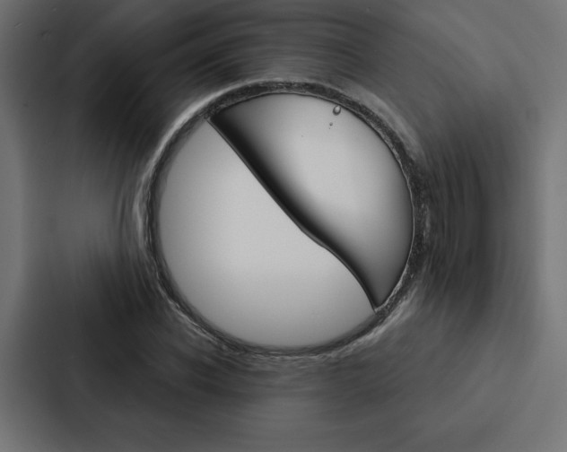X0000088180926200705150936
