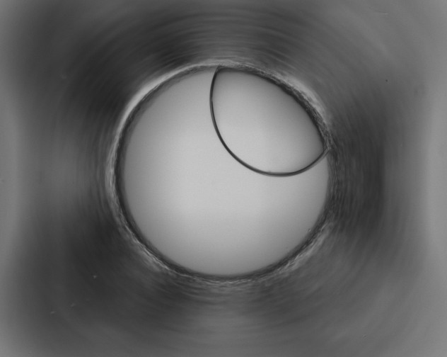 X0000088180928200705150936