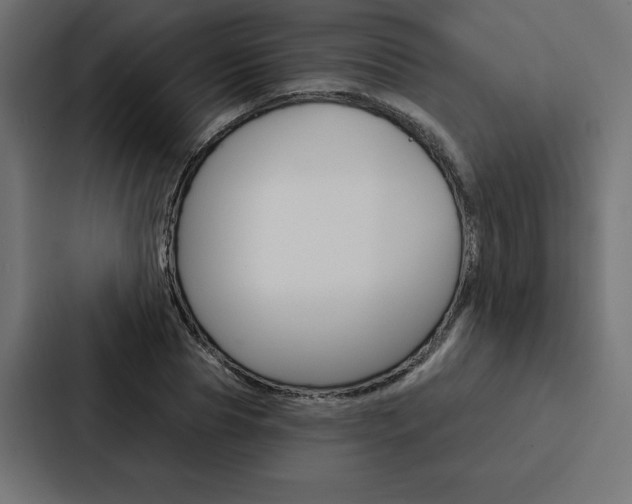 X0000088180929200705150936