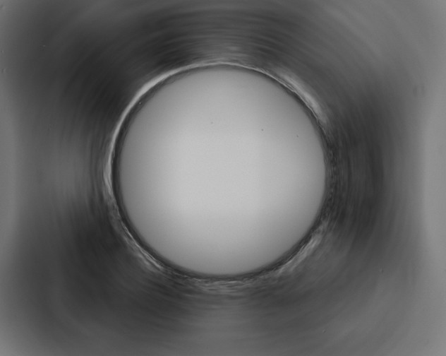 X0000088180932200705150936