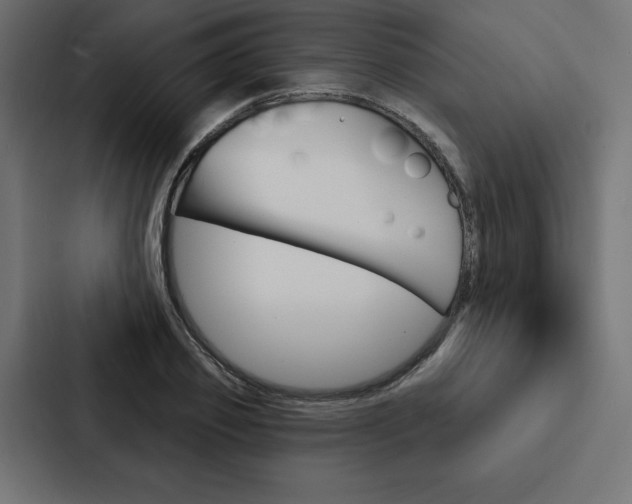 X0000088180933200705150936