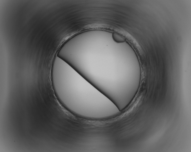 X0000088180937200705150936