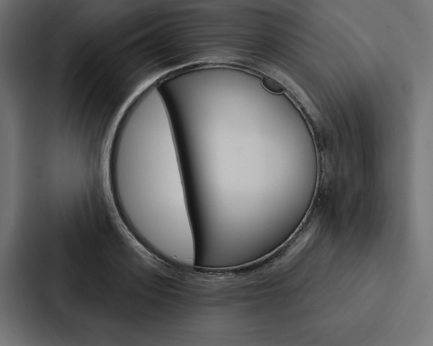 X0000088180939200705150936