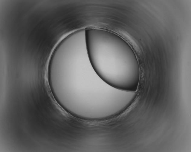 X0000088180940200705150936