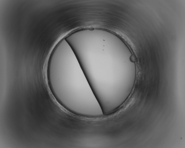 X0000088180941200705150936