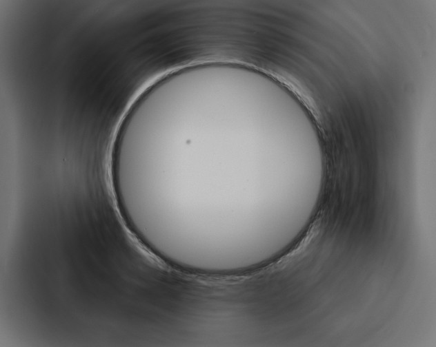 X0000088180942200705150936