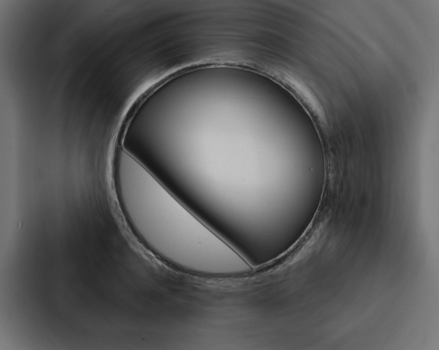 X0000088180944200705150937