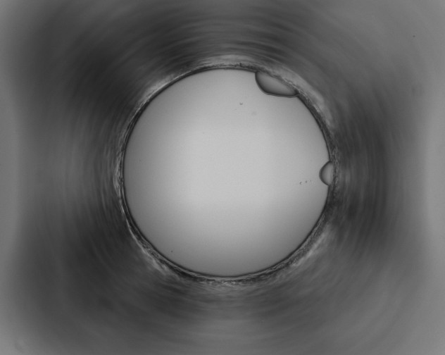 X0000088180945200705150937