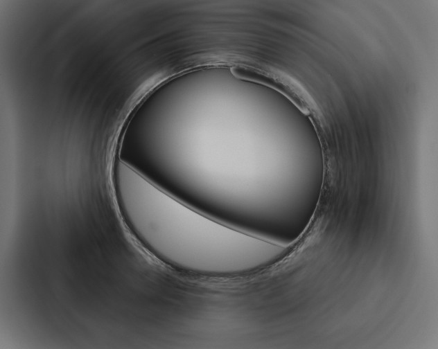 X0000088180946200705150937