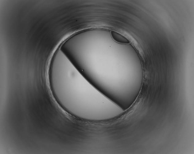 X0000088180947200705150937