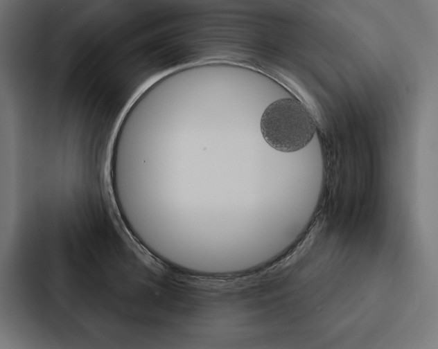 X0000088180948200705150937
