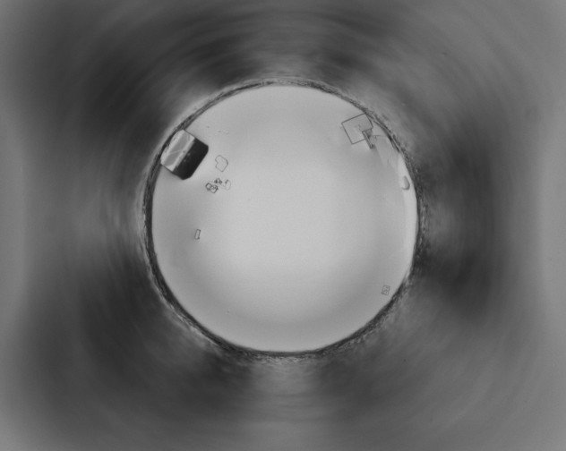 X0000088180950200705150937