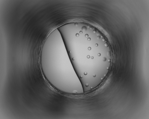 X0000088180953200705150937