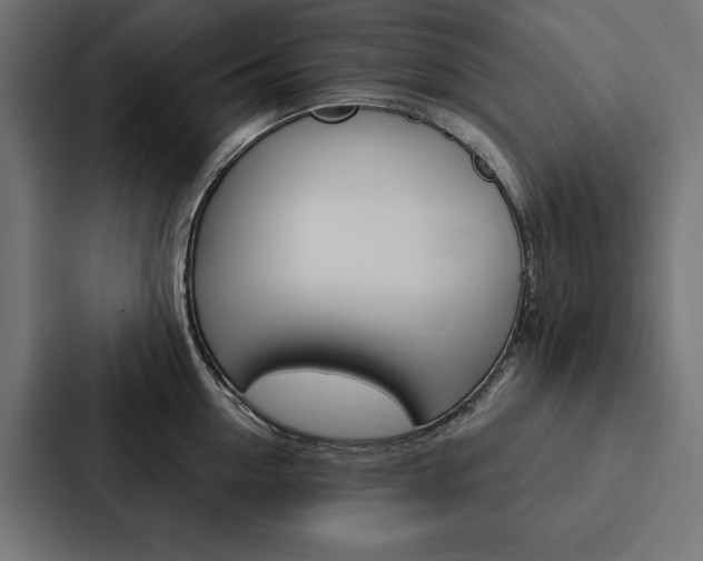 X0000088180954200705150937