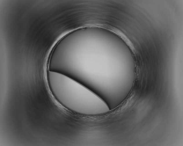 X0000088180955200705150937