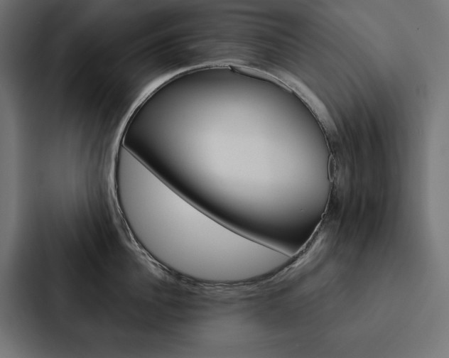 X0000088180956200705150937
