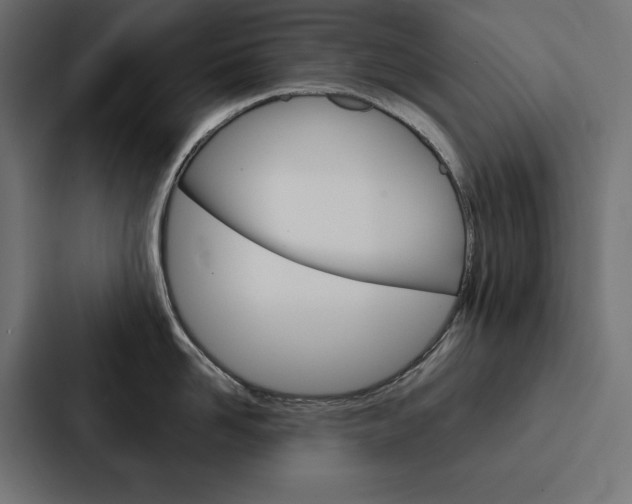 X0000088180958200705150937