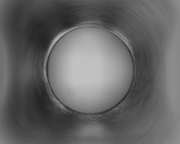 X0000088180960200705150937