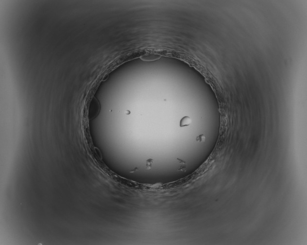 X0000088180961200705150936