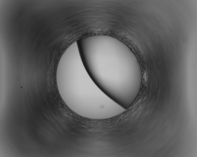 X0000088180963200705150936