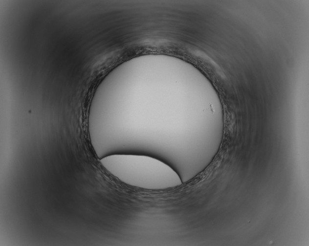 X0000088180966200705150936