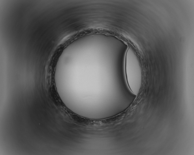 X0000088180968200705150936