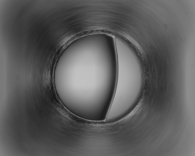 X0000088180969200705150936
