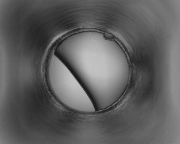 X0000088180971200705150936