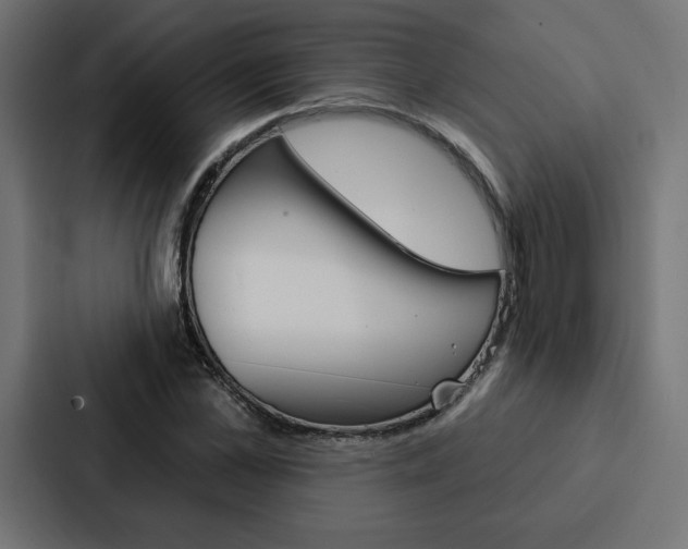 X0000088180973200705150936