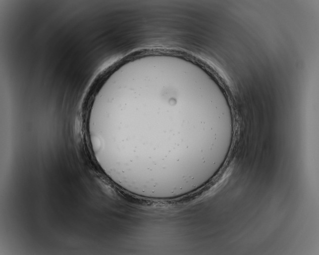 X0000088180974200705150936