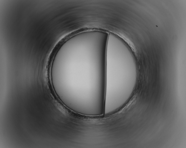 X0000088180976200705150936