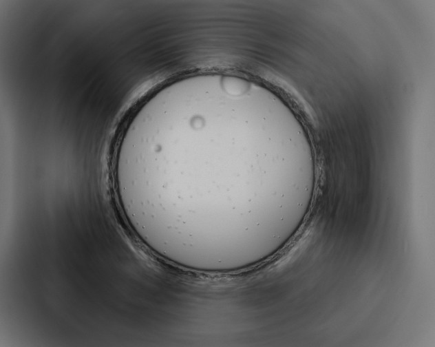 X0000088180978200705150936