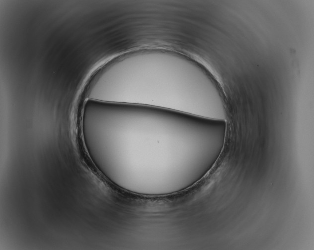 X0000088180979200705150936
