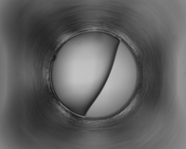 X0000088180985200705150936