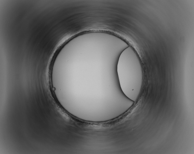 X0000088180990200705150936