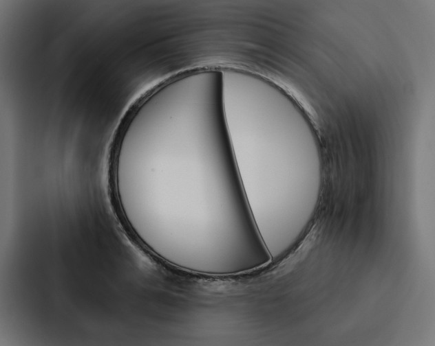 X0000088180991200705150936