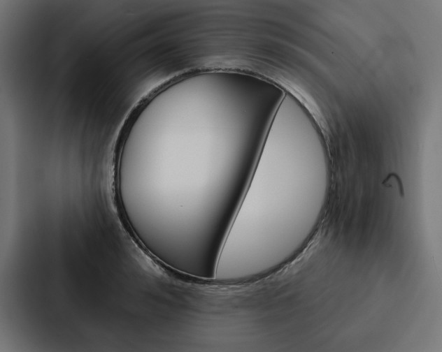 X0000088180992200705150936