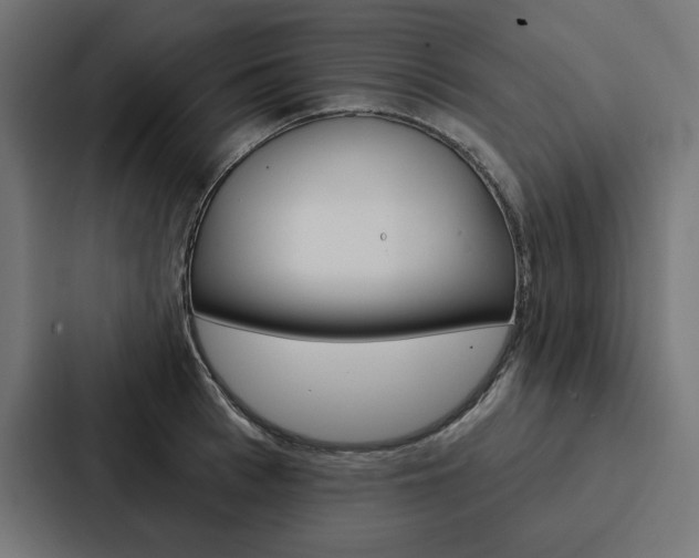 X0000088180993200705150936