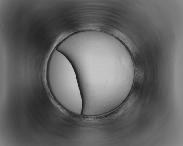 X0000088180994200705150936