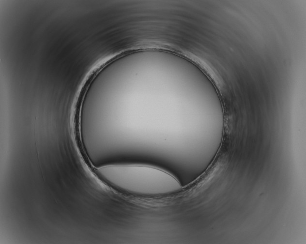 X0000088180995200705150936
