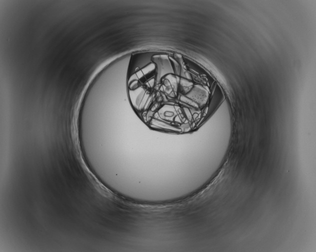 X0000088180996200705150936