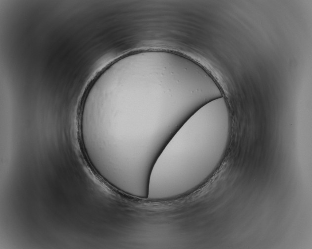 X0000088180998200705150936