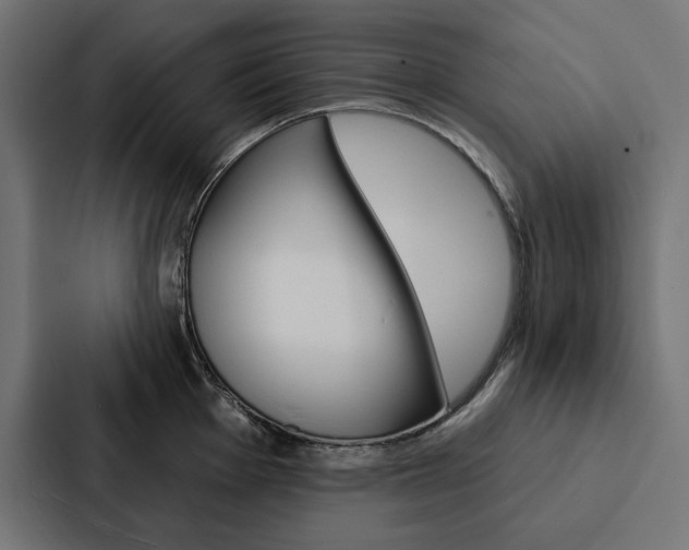 X0000088181001200705150936