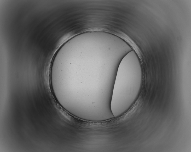 X0000088181002200705150936
