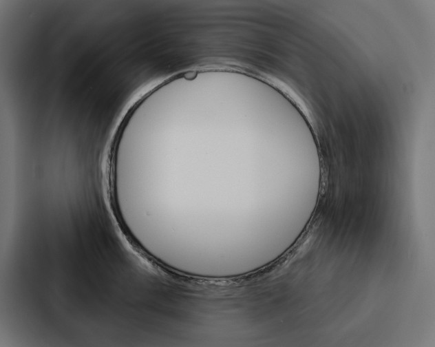 X0000088181003200705150936